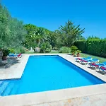 Owl Pou - Luxury Holidays In Royal Gardens