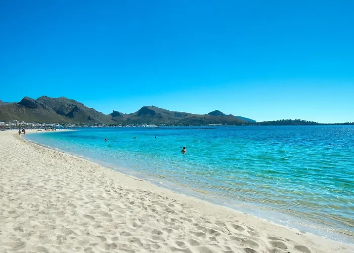 Owl Pou - Luxury Holidays In Royal Gardens