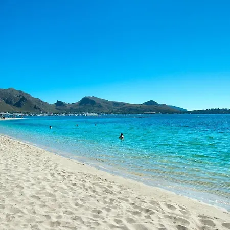 Owl Pou - Luxury Holidays In Royal Gardens