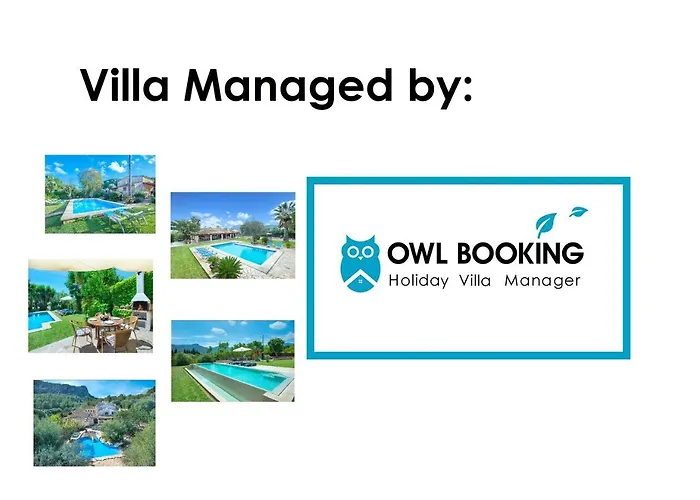 Owl Pou - Luxury Holidays In Royal Gardens Willa *